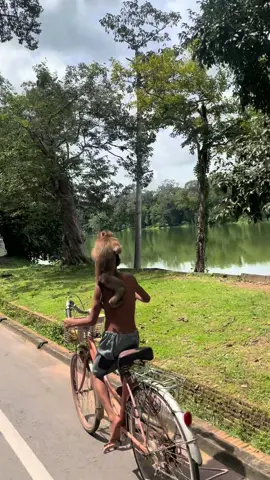 When life hurt,Siem reap heal🤧