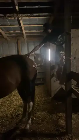 Horse like to kill em😂😂#cowboyup 