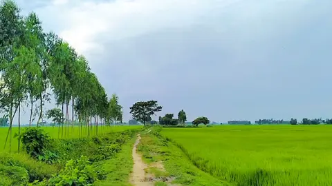 আর কি বললে তুই বদলাবে যুবক #আনিসুর_রহমান_আশরাফী💖💖 #ফরইউতে_দেখতে_চাই #প্রকৃতির_অপূর্ব_সৌন্দর্য🥰 #ইসলামিক_ভিডিও_🤲🕋🤲 #বাংলাদেশি_ভাইরাল_টিকটক_ 