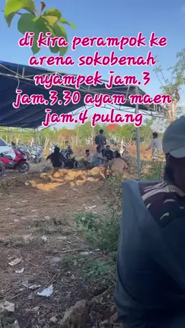 pas di bilang perampok paya 🤣🤣🤣