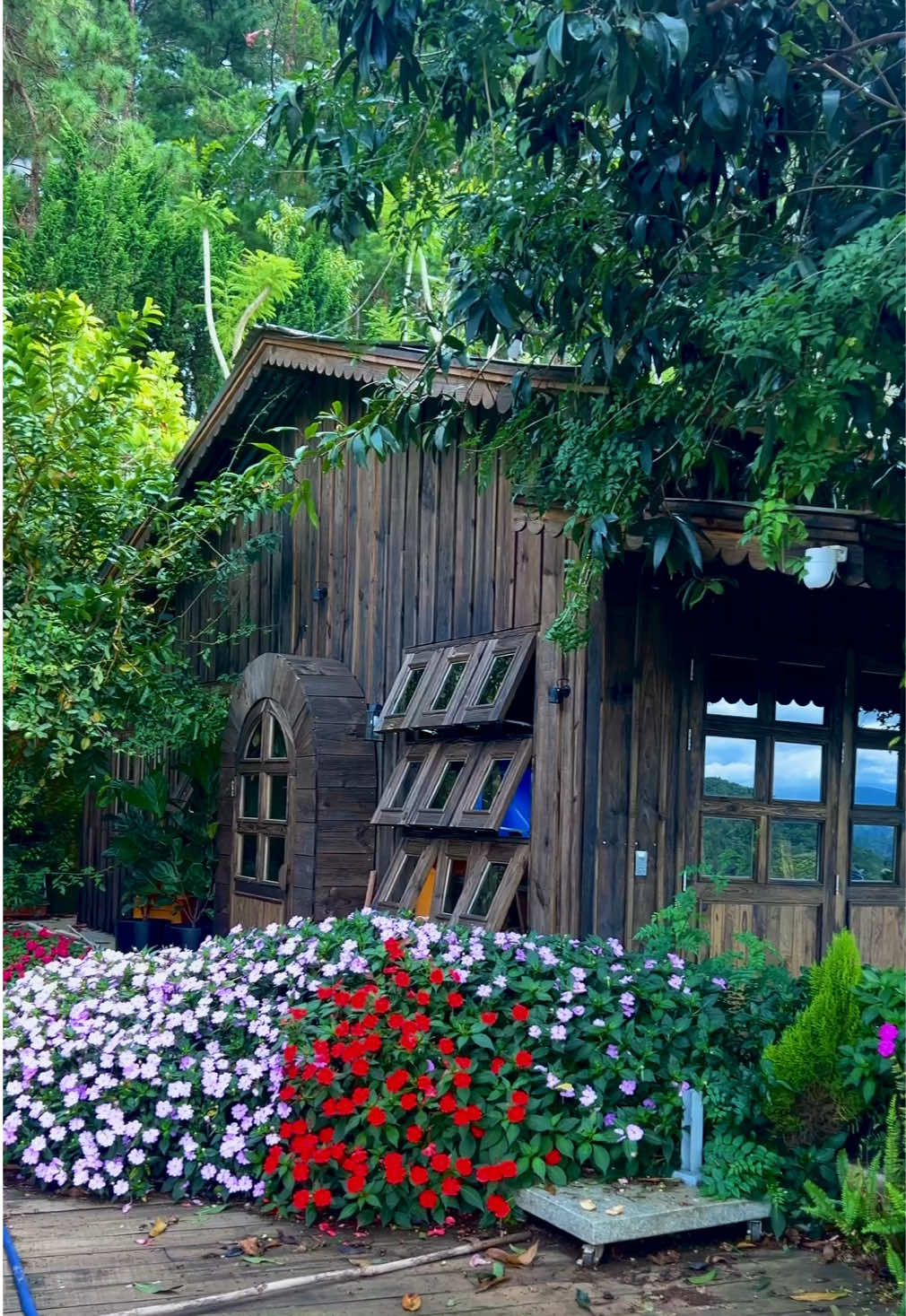 Nhà mình còn nhớ tiệm hông? Tiệm nhớ cả nhà nhiều lắm ạ, hẹn gặp lại cả nhà nhé!!! #Tiemcaphe #Quancaphe #Caphe #Viewdep #Reviewdalat #TiemcapheTayHo #TayHo #Trending #TayHoDaLat #HoangHon #Dalat 