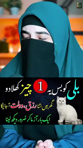 bili sy ameer Hony ka power full wazifa #wazifaformoney 