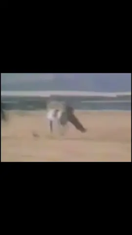 ماشاءالله| جدي عام 1400هـ🤩🤩 الله يطول بعمره