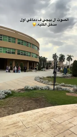 #الجامعه_العربيه_المفتوحه #AUO #CapCut 