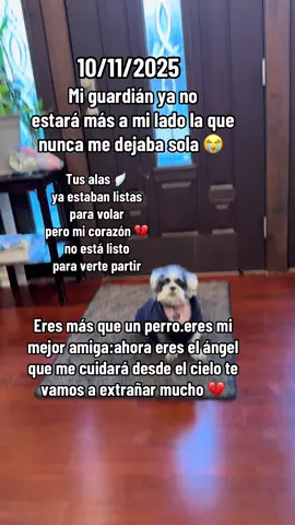 Es difícil  aceptar 😥 🐶🦴#te vamos a extrañar muchísimo #mi princesa 🐶🐶🐶🦴