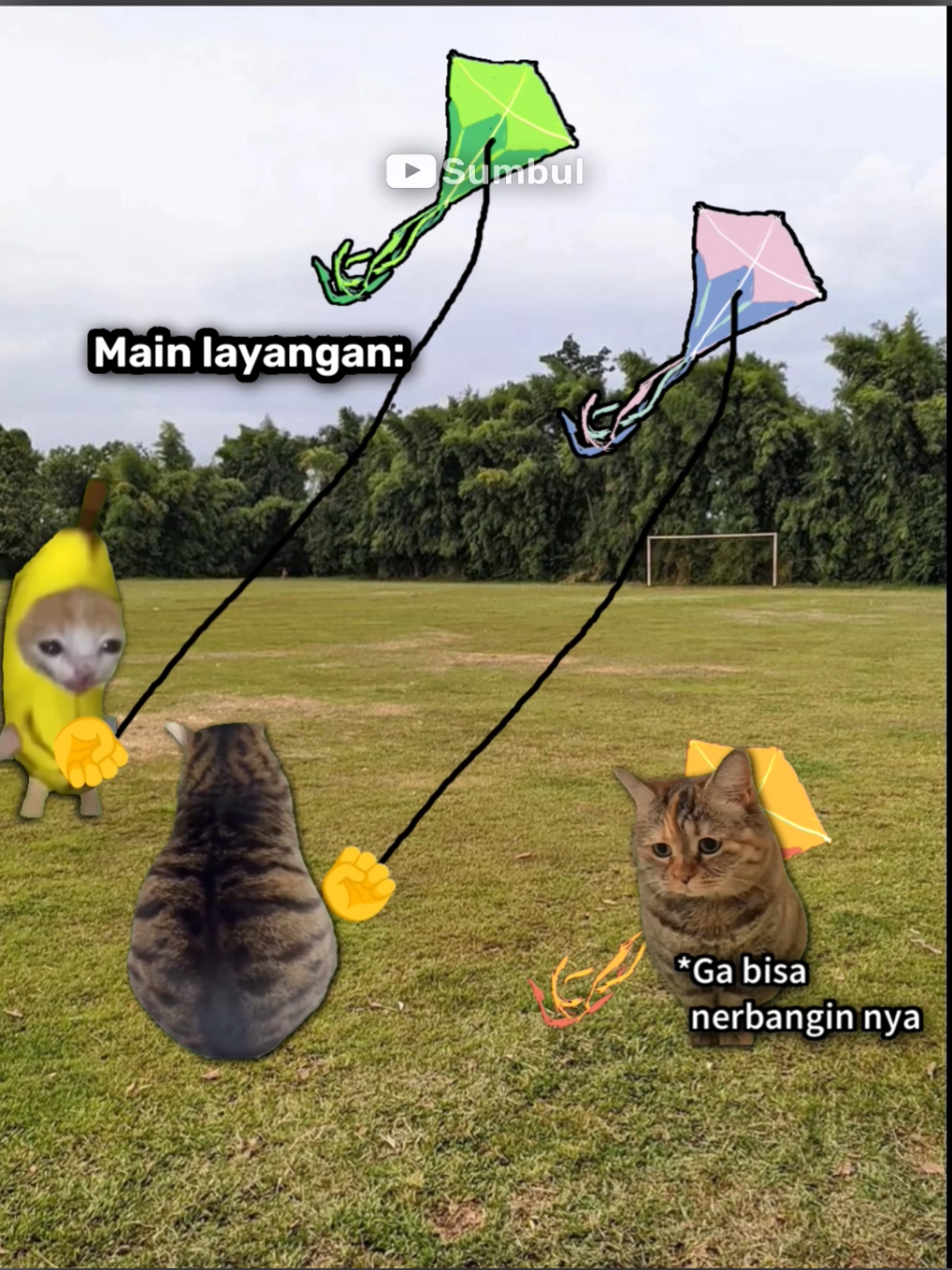 Miss this moment😿 #memekucing #fyp #kucinglucu #kucing 