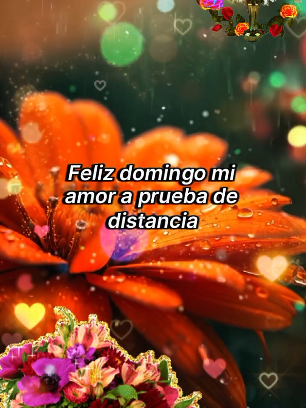 Feliz Domingo mi amor #CapCut #felizdomingo #octubre #buenosdias #fyp 