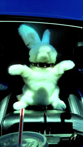 make me feel - oskar med k  ★ #clubmusic #club #bunny #puppetry #fyp 