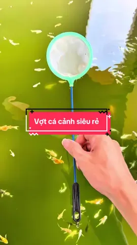 Vợt nano chống sóc #cacanh #molly #vairal #thailand🇹🇭 