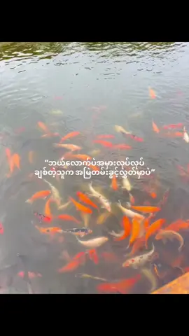 #fypシ゚ #trending #foryoupage #fyppppppppppppppppppppppp #moots? 