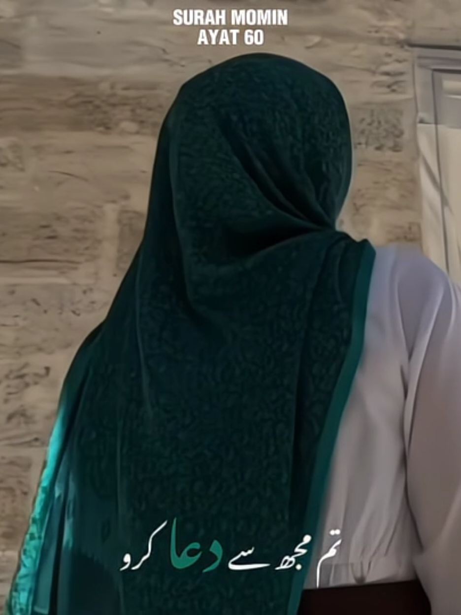 Peace 🌙🕊 .  .  .  .  #fypシ゚ #foryou #fypage #foryoupage #Quran 