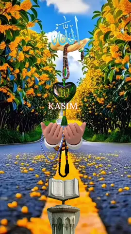 ##আল্লাহ্_সর্বশক্তিমান#foryoupage#fypシ゚viral#foryou#Tiktokviral hashtag Tik Tok 