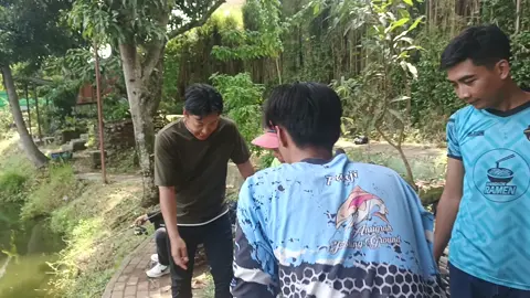 mancing IKAN PATIN 22KG Mantap, sampe orang Jepang ikut foto bareng Mantap