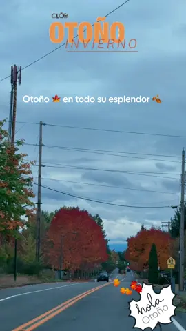 #Otoño #autum #autumnaesthetic #fyp #halloween 