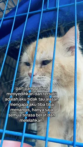 #fyp #masukberanda #fyppppppppppppppppppppppp #foryou #moots 
