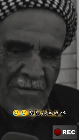 #foryoupage #viral #shorja71 #fyp #capcut 