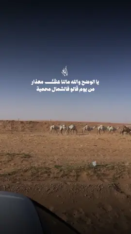 يا الوضح والله مالنا عنك معذار  من يوم قالو فالشمال محمية كلمات /  منير الضويلع اداء / سعدون فيصل تصميم فيديوهات شيلات🎶🎤🎬 اکسبلوررررررر تيك توك🌹