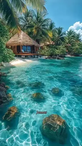 দুঃখ যদি বিক্রি হইতো  #pyp #foryoupage #tiktok #tiktokbangladesh #creatorsearchinsights 