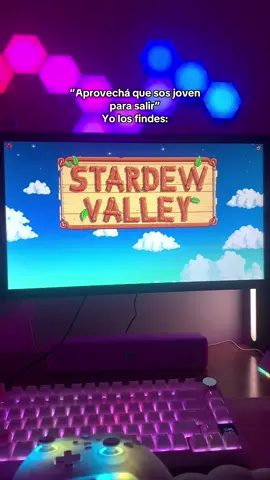 #gamer #stardewvalley #paratii #pc #fyp 