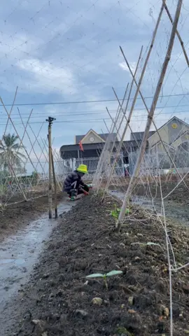 Chỉ đến bây giờ tôi mới nhận ra rằng kiếm tiền để xây dựng tương lai không hề dễ như tôi nghĩ!