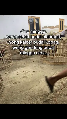 josjis#botohayam #ayambangkoksuper #salamsatuhoby🐓🐓🐓🙏 #ayamindonesia🇮🇩🇮🇩🇮🇩 #foryoupage 