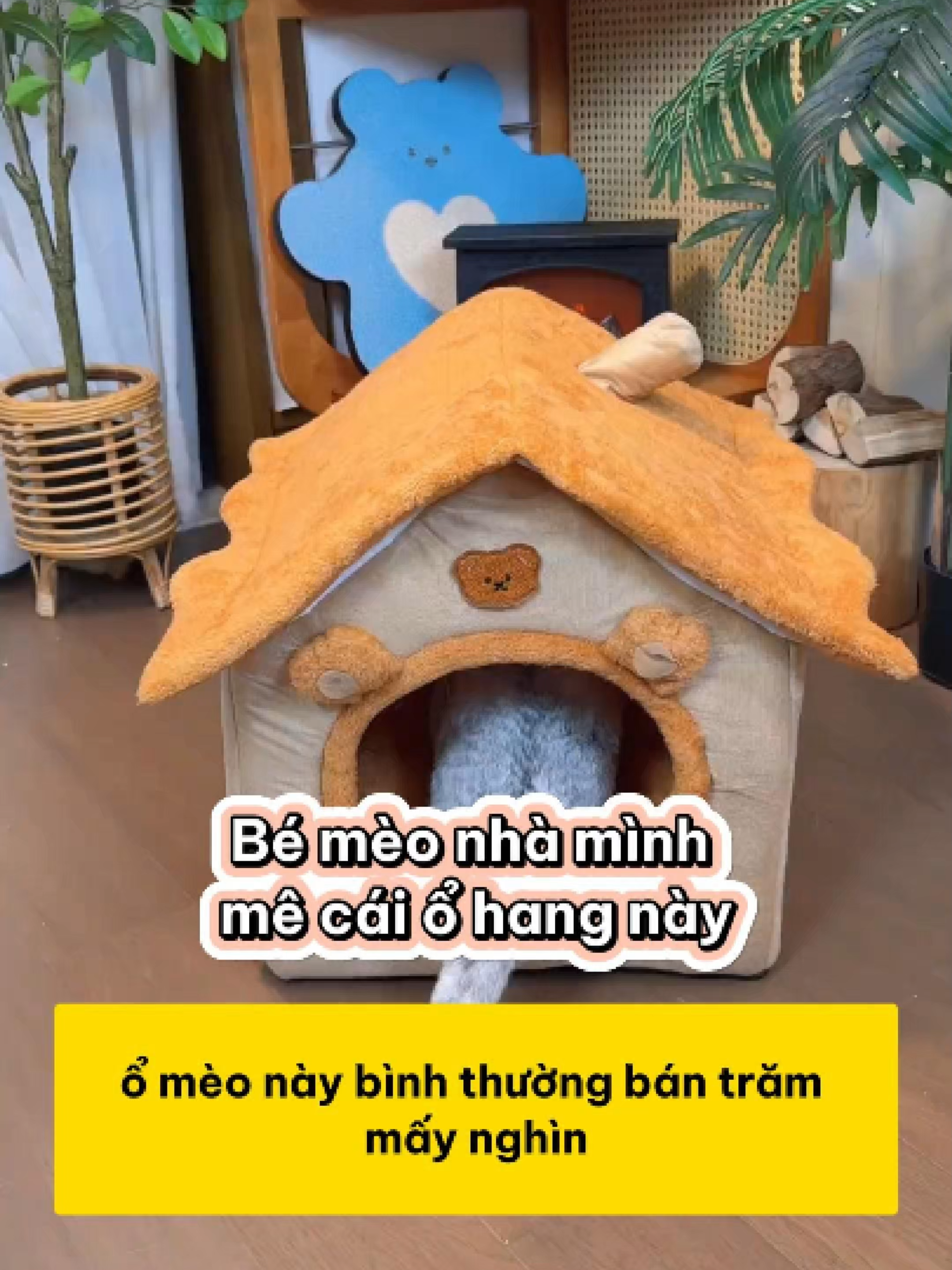 Mùa lạnh đến rồi, xem bé mèo nhà mình mê cái ổ hang này đến mức nào nhé #shopthucung #fyp #pet #cat #dog #cute