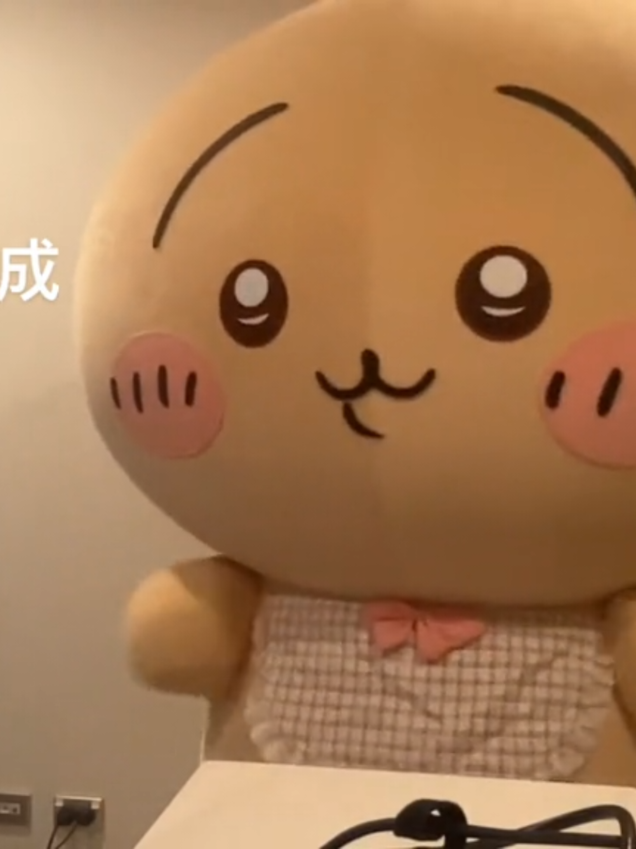 #chiikawa #usagi 