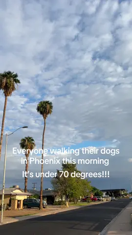 We can now walk the dog in cooler temperatures! #phoenix #arizona #coolweather #cool 