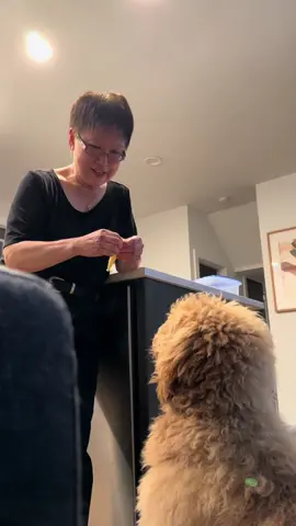 Happy coming out day 🏳️‍🌈 