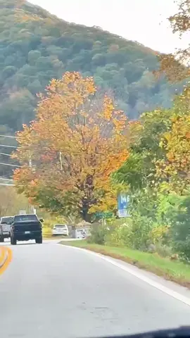 North Carolina  🍂🧡🍁