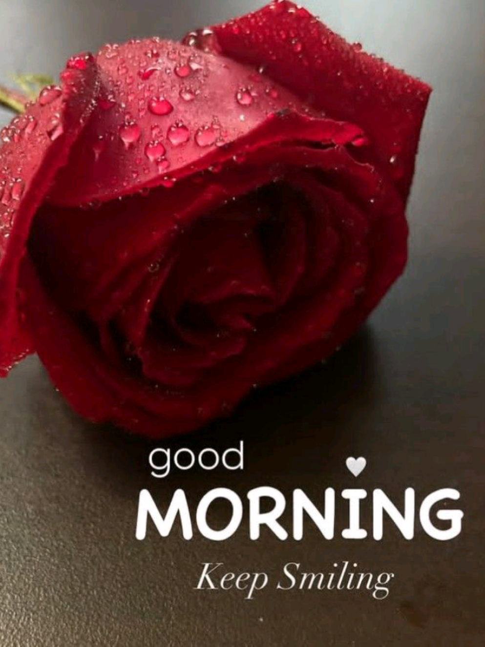 Red 🌹🌹🌹 Roses Good Morning Status#creatorsearchinsights #goodmorning #foryou #fyp #viral @Baloch 