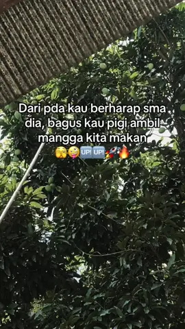 Info loker🥭🥭#fypシ゚ #mangga🥭🤣#viraltiktok #rujakmangga #😆😆😆 