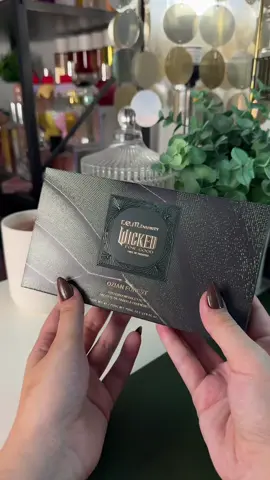 such a beautiful color story 😍😍😍🩷🩷💚💚 @r.e.m. beauty @Wicked: For Good #rembeauty #rembeautywicked #rembeautywickedcollection #rembeautyxwicked #arianagrandemakeup 