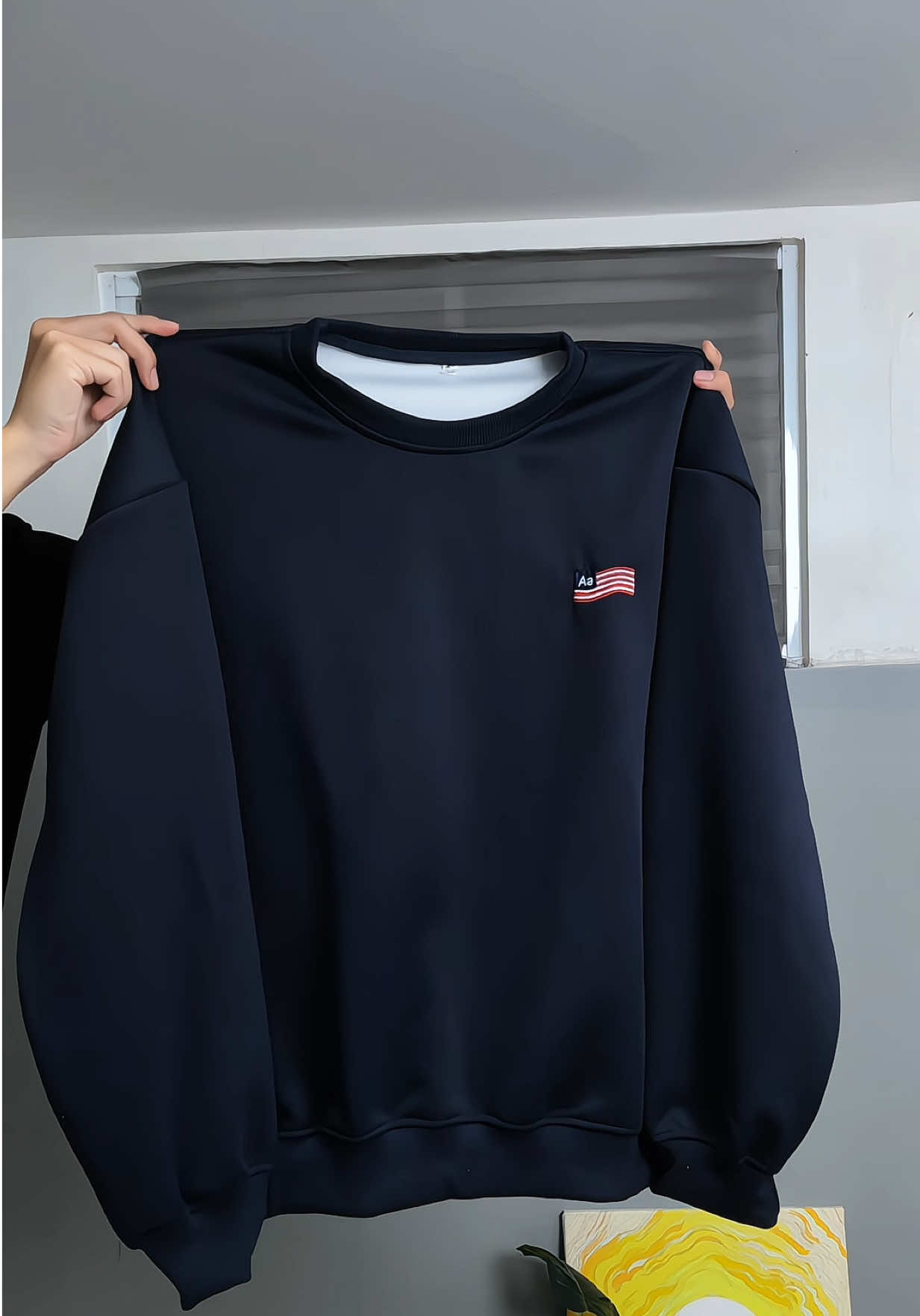 Áo Sweater thêu lá cờ Mỹ #xuhuong #outfit #macdepmoingay #fyp #aosweater 