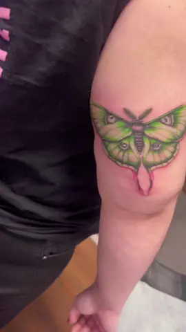 Beautiful moth in color..  #tattoo #moth #tattooartist #fyp #viral 