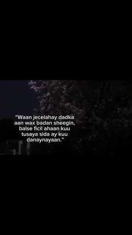 #viwesproblem #fyp #foryoupage #foryou 