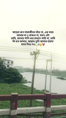 মায়েরা কেন সারাজীবন বাঁচে না, এক সময় আমার মা ও থাকবে না, যখন এটা ভাবি, চোখের পানি ধরে রাখতে পারি না, ভাবি কি হবে আমার, আল্লাহ তুমি আমার হায়াত মাকে দিয়ে দেও...:(😓❤️‍🩹#foryou #viral #tiktokofficial #viralvideo #fypppppppppppppppppppppp 