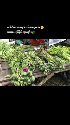 မာဖီးယားကပိုအဆင်ပြေမယ်😜 #foryoupage  #ရောက်ချင်တဲ့နေရာရောက်👌  #tiktokmyanmar🇲🇲  #စီးပွားရေးလူငယ်များသို့ 