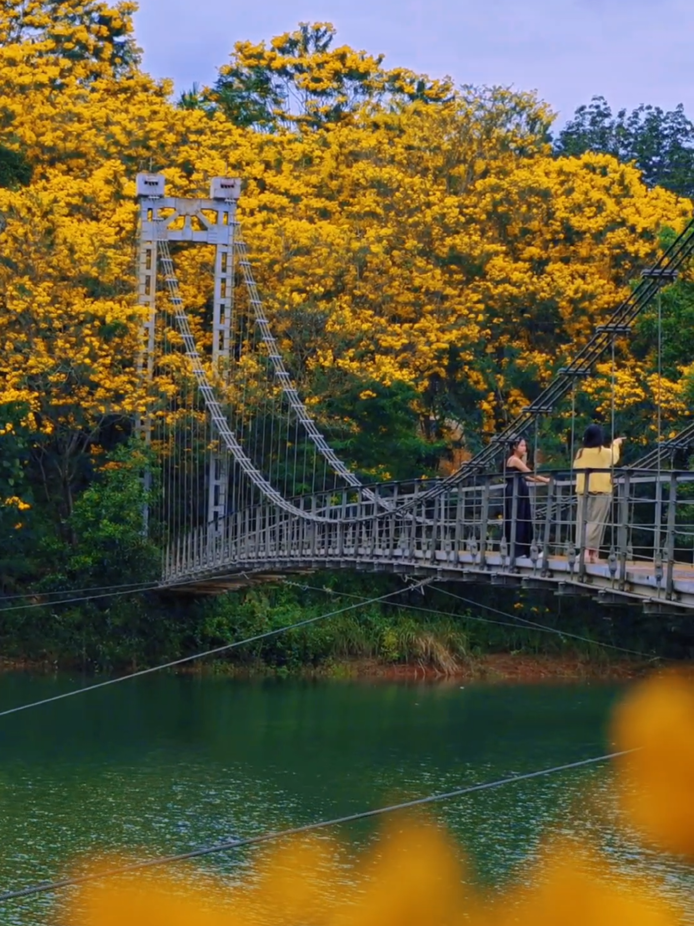 Năm nay ai đi chỗ này chưa nhỉ ? #daknongreview #daknongdidau ##daknongcogi #gianghiadaknong 