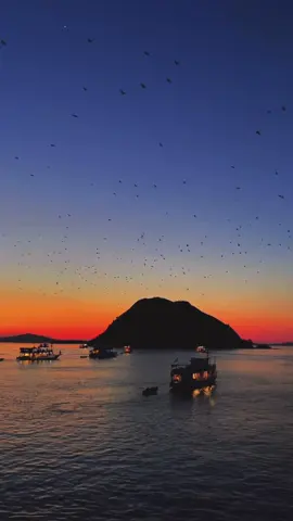 Sunset Yang Begitu indah dengan Ditemani banyaknya Kalalwar yang berterbangan🙌🌅🤙🏽😍 #fyppppppppppppppppppppppp #nttpride🏝🔥fypシviral #tourguide #wonderfulindonesia #labuanbajo 