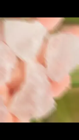 پھٹکری #growmyaccount #viralvideo #tiktok #trending #tiktok 