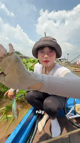 Câu tự nhiên mà? #mayfishing #dcgr 