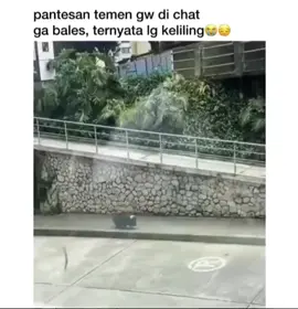 🐷🤣#babiesoftiktok #lucu_ngakak #cat #vidiolucu #fyppppppppppppppppppppppp 