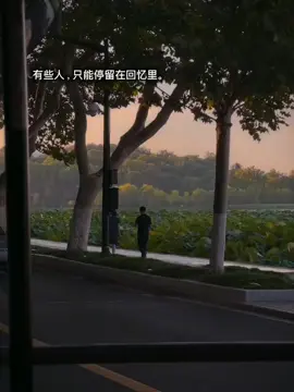有些人，只能停留在回忆里。 #文案 #感情 #痘印 #fypシ゚ #caption 