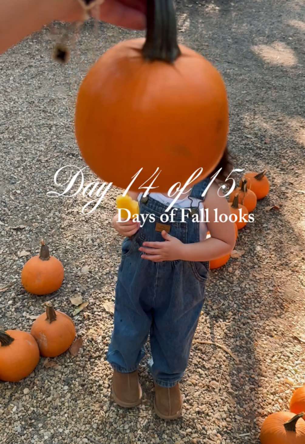 Autumn days with my pumpkin🤎  Fall Outfit- @Jamie Kay 🤎  #jamiekay#fall#autumn#toddlerfalloutfits#OOTD#girlmom#girlmum#toddlerstyle#mamaprimeriza#maternidad#momlife#daughter#myminime#littlelady#pumpkinseason#pumpkin#pumpkinpatchoutfit#vintage#denim#girlygirl#babyootd#kidsfashion#motherhood#childhood#fyp#bohobaby#babygirl#MomsofTikTok#mamaehija#firsttimemom#girlhood 