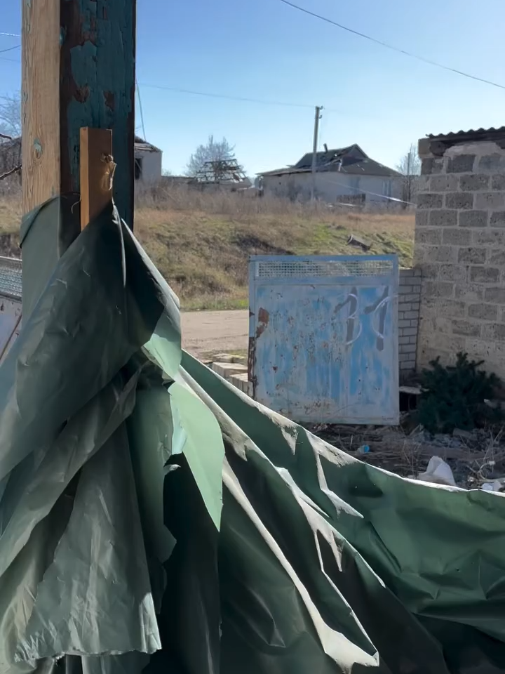 собака