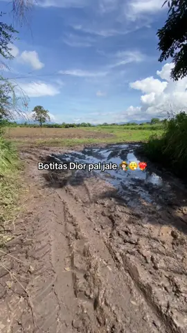 #botitas Dior pal jale 👩🏻‍🌾😮‍💨  #paratii #🌱❤️ #greenscreen #campo 