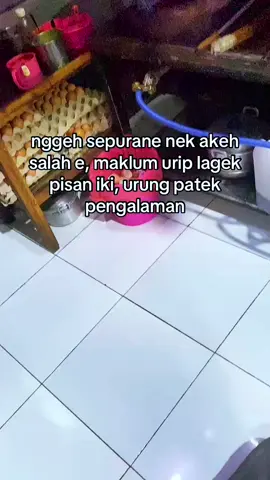 Nasgor Suka Suka Bojonegoro open jam 11.00-22.00 #menu  #nasigoreng  #enak  #restoran  #fypシ゚  @Wisata Kuliner Bojonegoro  @bjn_24jam  @Pinarak Bojonegoro10  @Kuliner Jawa Timur  @KULINER TIKTOK 