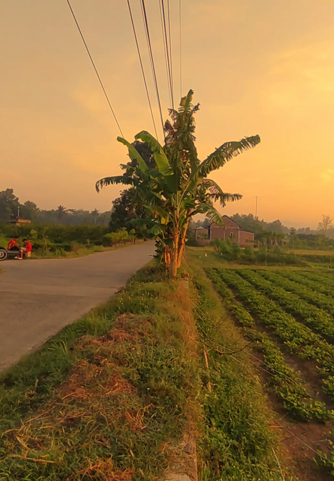 vibes 2019#vibes2019 #fyp #vibespagi  #masukberanda #sunrise 