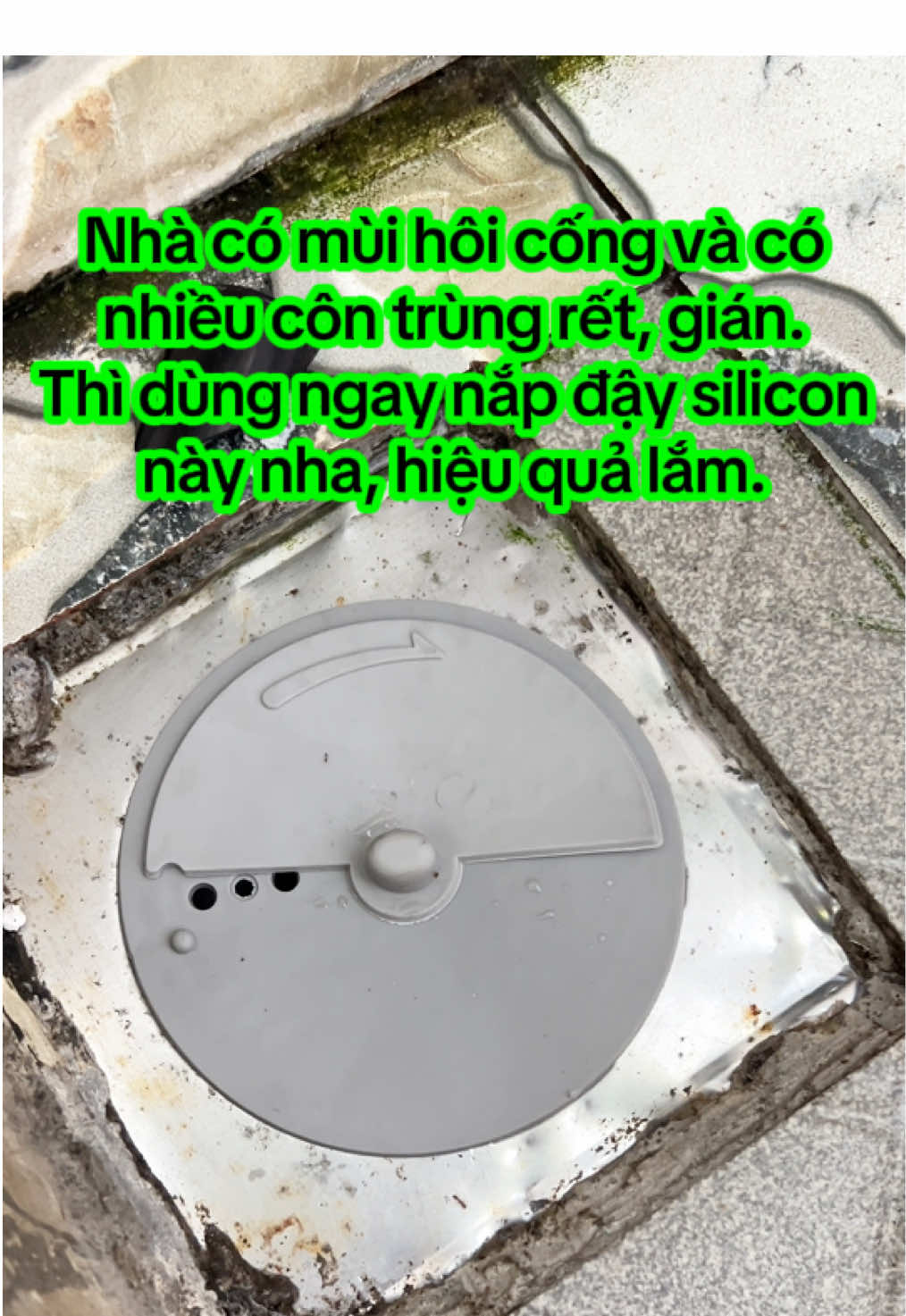 Nắp đậy silicon ngăn mùi hôi, công trùng rết gián, và lọc rác. #napdaycongthoatnuoc #locrac #dogiadung #tienichgiadinh #xh 